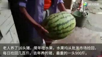 吃瓜群众吓坏人,揭秘背后真相
