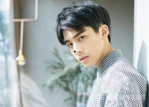 像宋威龙的男网红,宋威龙式男网红魅力全解析