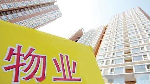 河北美源物业最新爆料