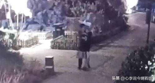 莒南吃瓜事件视频曝光,视频曝光引发社会关注