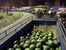 南京杆子哥吃瓜,一场网络热议的社区奇观