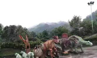 万迪明星,闪耀舞台的璀璨之星