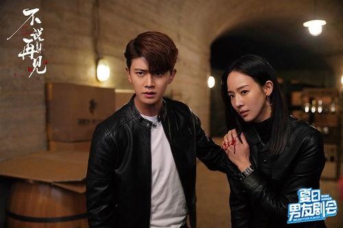 任嘉伦团队爆料视频播放,精彩瞬间回顾