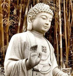 明星生病念佛好的,明星念佛康复奇迹